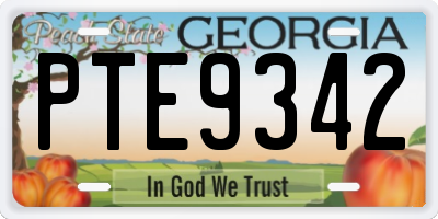 GA license plate PTE9342