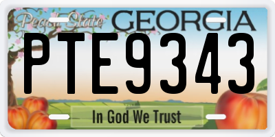 GA license plate PTE9343