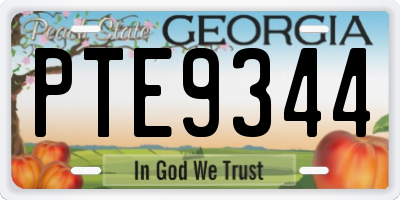 GA license plate PTE9344