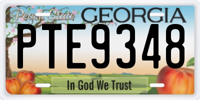 GA license plate PTE9348