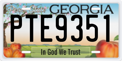 GA license plate PTE9351