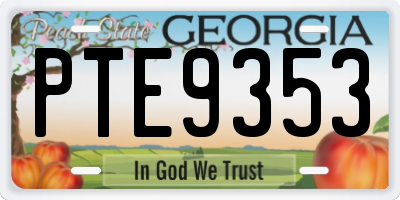 GA license plate PTE9353