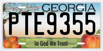 GA license plate PTE9355