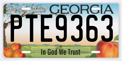 GA license plate PTE9363