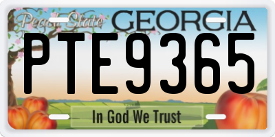 GA license plate PTE9365