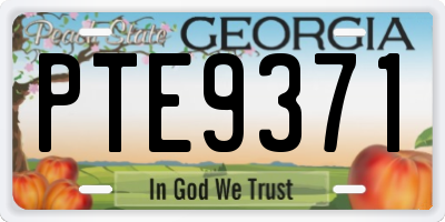 GA license plate PTE9371