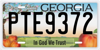 GA license plate PTE9372