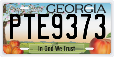 GA license plate PTE9373