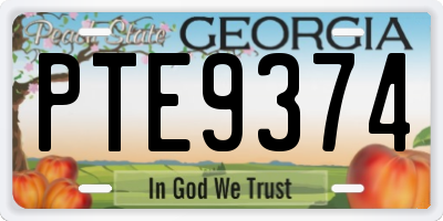 GA license plate PTE9374