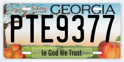 GA license plate PTE9377