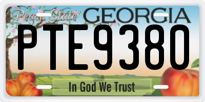 GA license plate PTE9380