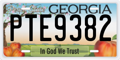 GA license plate PTE9382