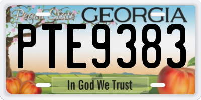 GA license plate PTE9383