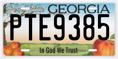GA license plate PTE9385