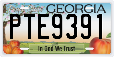 GA license plate PTE9391