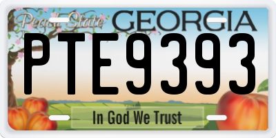 GA license plate PTE9393