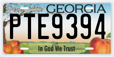 GA license plate PTE9394