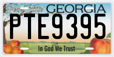 GA license plate PTE9395