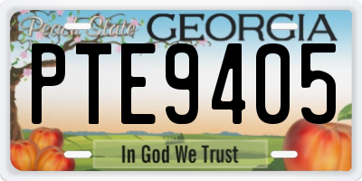 GA license plate PTE9405