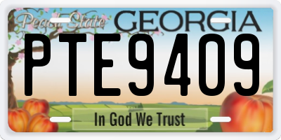 GA license plate PTE9409
