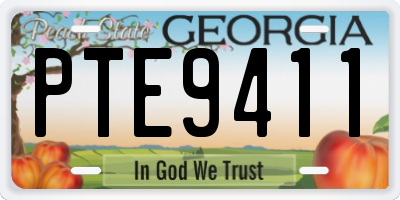 GA license plate PTE9411