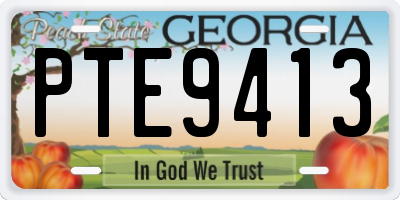 GA license plate PTE9413
