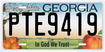 GA license plate PTE9419