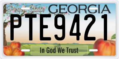 GA license plate PTE9421