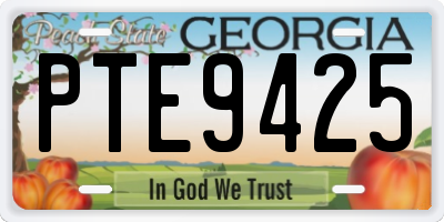 GA license plate PTE9425