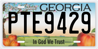 GA license plate PTE9429