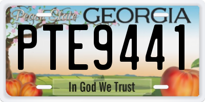 GA license plate PTE9441