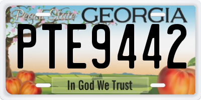 GA license plate PTE9442