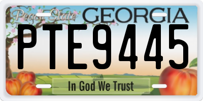 GA license plate PTE9445