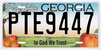 GA license plate PTE9447