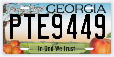 GA license plate PTE9449