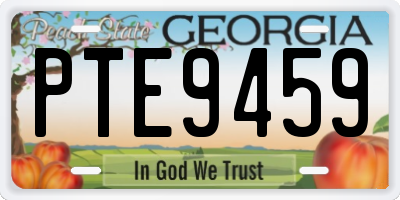 GA license plate PTE9459