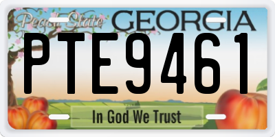 GA license plate PTE9461
