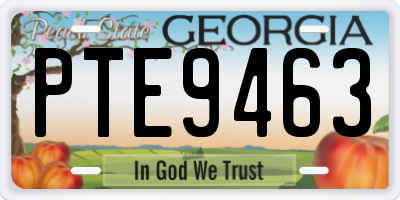 GA license plate PTE9463