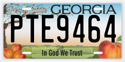 GA license plate PTE9464