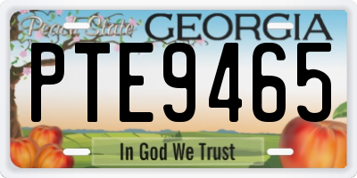 GA license plate PTE9465
