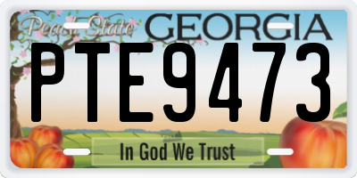 GA license plate PTE9473
