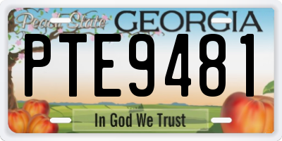 GA license plate PTE9481