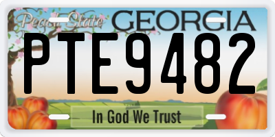 GA license plate PTE9482