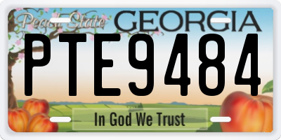 GA license plate PTE9484
