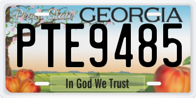 GA license plate PTE9485