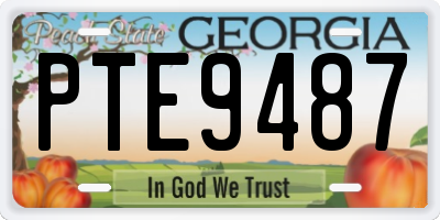 GA license plate PTE9487