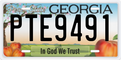 GA license plate PTE9491