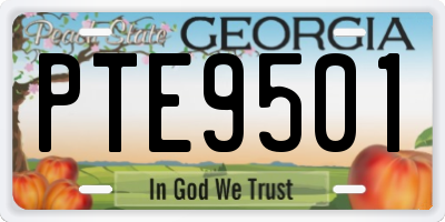 GA license plate PTE9501