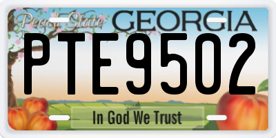 GA license plate PTE9502
