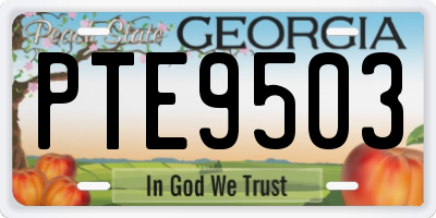 GA license plate PTE9503